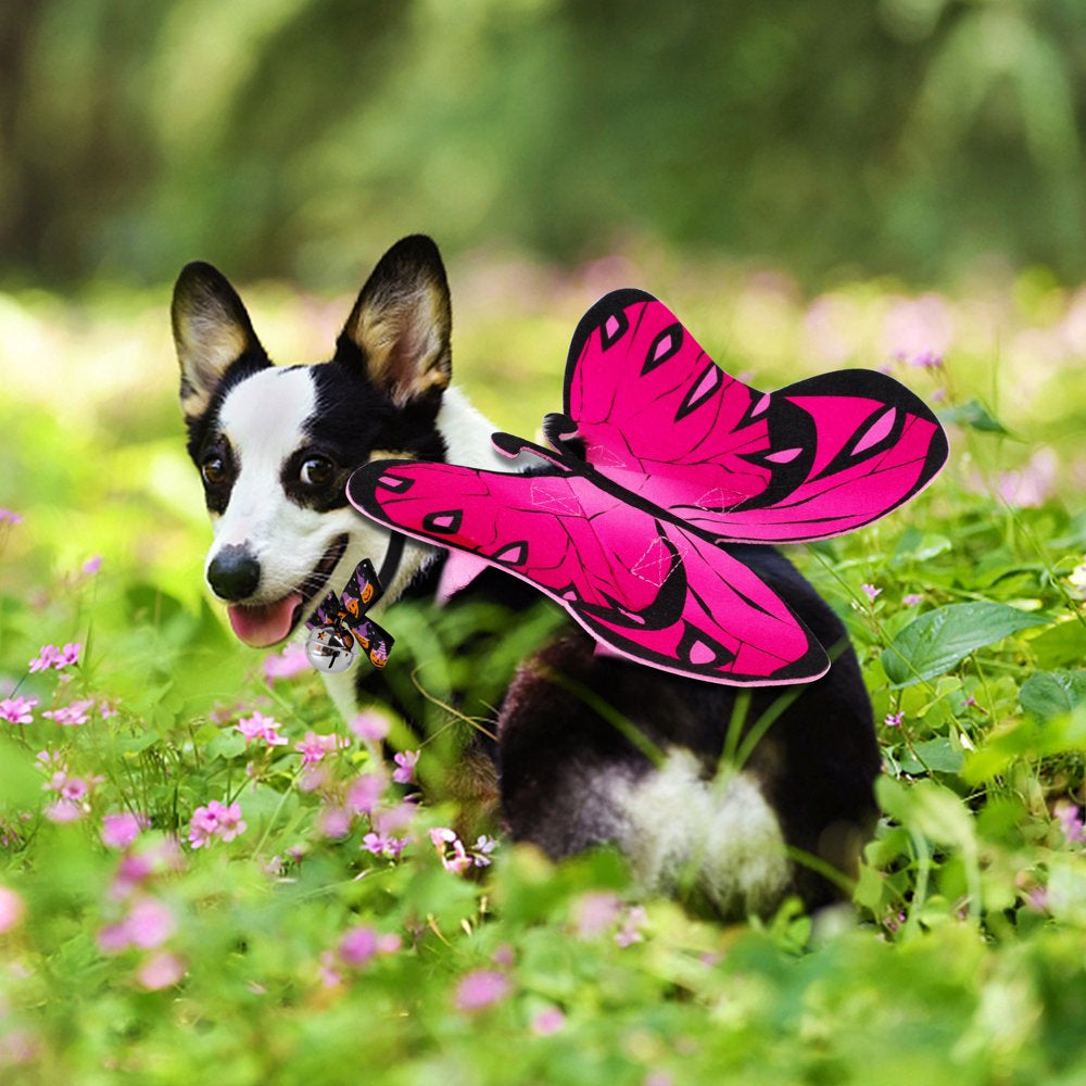Legendog Halloween Pet Butterfly Costume Decorative Adjustable Flying Butterfly Wing Apparel with Cat Collar for Small Dogs Cats Animals & Pet Supplies > Pet Supplies > Cat Supplies > Cat Apparel Legendog   