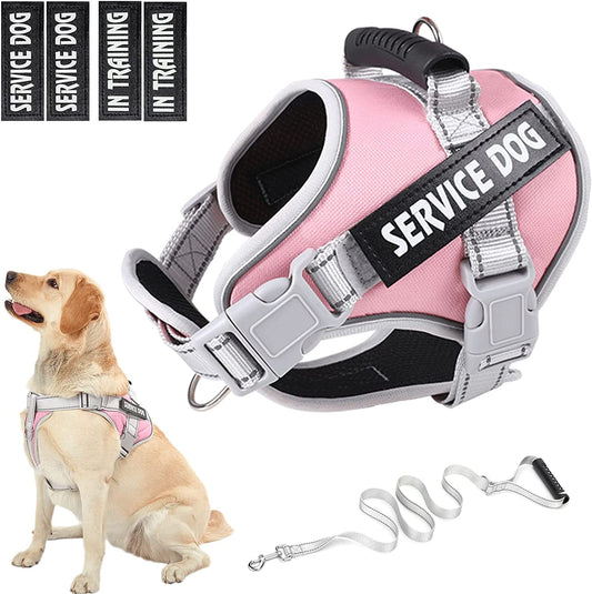 HUSDOW Service Dog Vest Harness, No Pull in Trainning Dog Harnesses with Handle & 5Ft Dog Leash, Adjustable and Reflective No Chock for Small Medum Large Pets Walking and Running(Pink, M) Animals & Pet Supplies > Pet Supplies > Dog Supplies > Dog Apparel HUSDOW Pink X-Small 