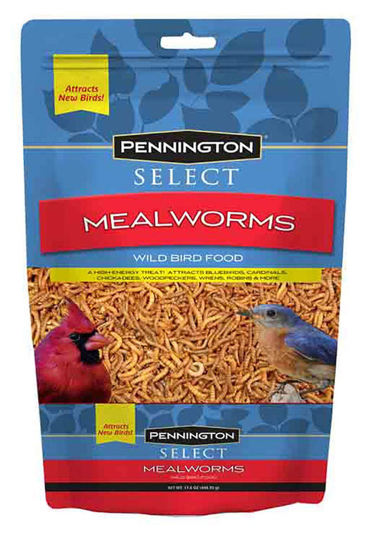 Select Pennington Mealworms Wild Bird Food, 17.6Oz Pouch Animals & Pet Supplies > Pet Supplies > Bird Supplies > Bird Food Select   