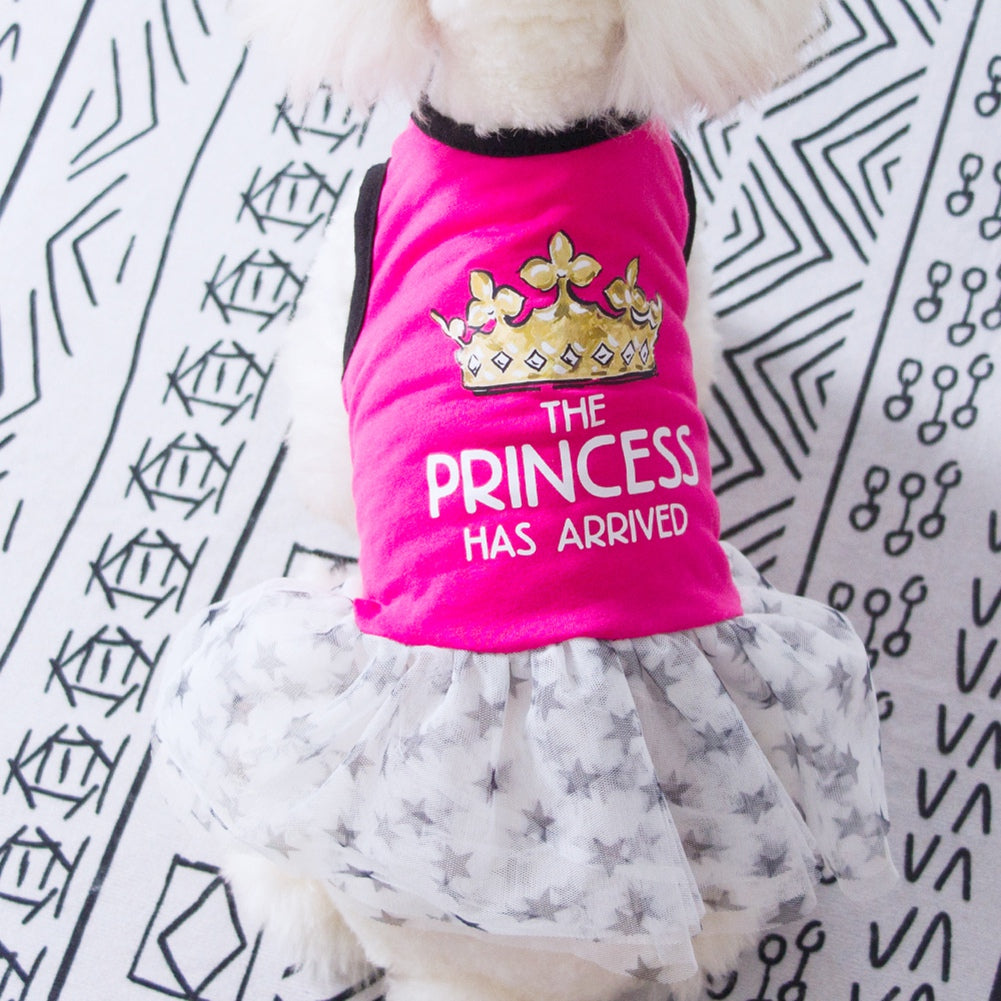 Pet Dog Girl Lace Tutu Princess Dress for Puppy Small Medium Dog Star Dresses Summer Apparel Animals & Pet Supplies > Pet Supplies > Dog Supplies > Dog Apparel Lovebay   