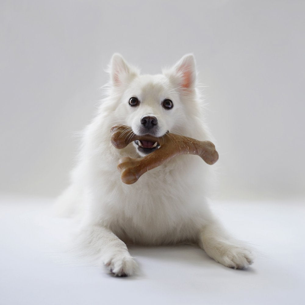 Lumabone Real Bacon Durable Wishbone Dog Chew Toy, Medium Animals & Pet Supplies > Pet Supplies > Dog Supplies > Dog Toys Lumabone   