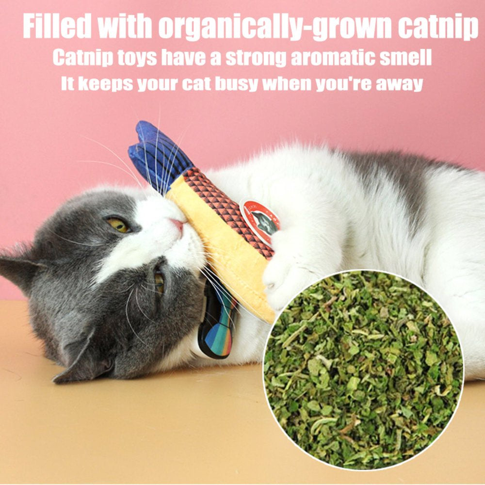 Cats Catnip Toys,Realistic Fish Interactive Toys for Kitty Pets Animals & Pet Supplies > Pet Supplies > Cat Supplies > Cat Toys mumuyuwen   