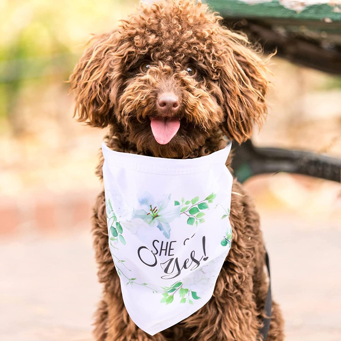 Ipetboom Home Decor 2Pcs Wedding Pet Dog Bandana Dog Bibs Pet Scarf Dog She Said Yes Engagement Wedding Party Bridal Shower Photo Prop Pet Accessories for Dog Lovers Gift White Wedding Decor Animals & Pet Supplies > Pet Supplies > Dog Supplies > Dog Apparel Ipetboom   