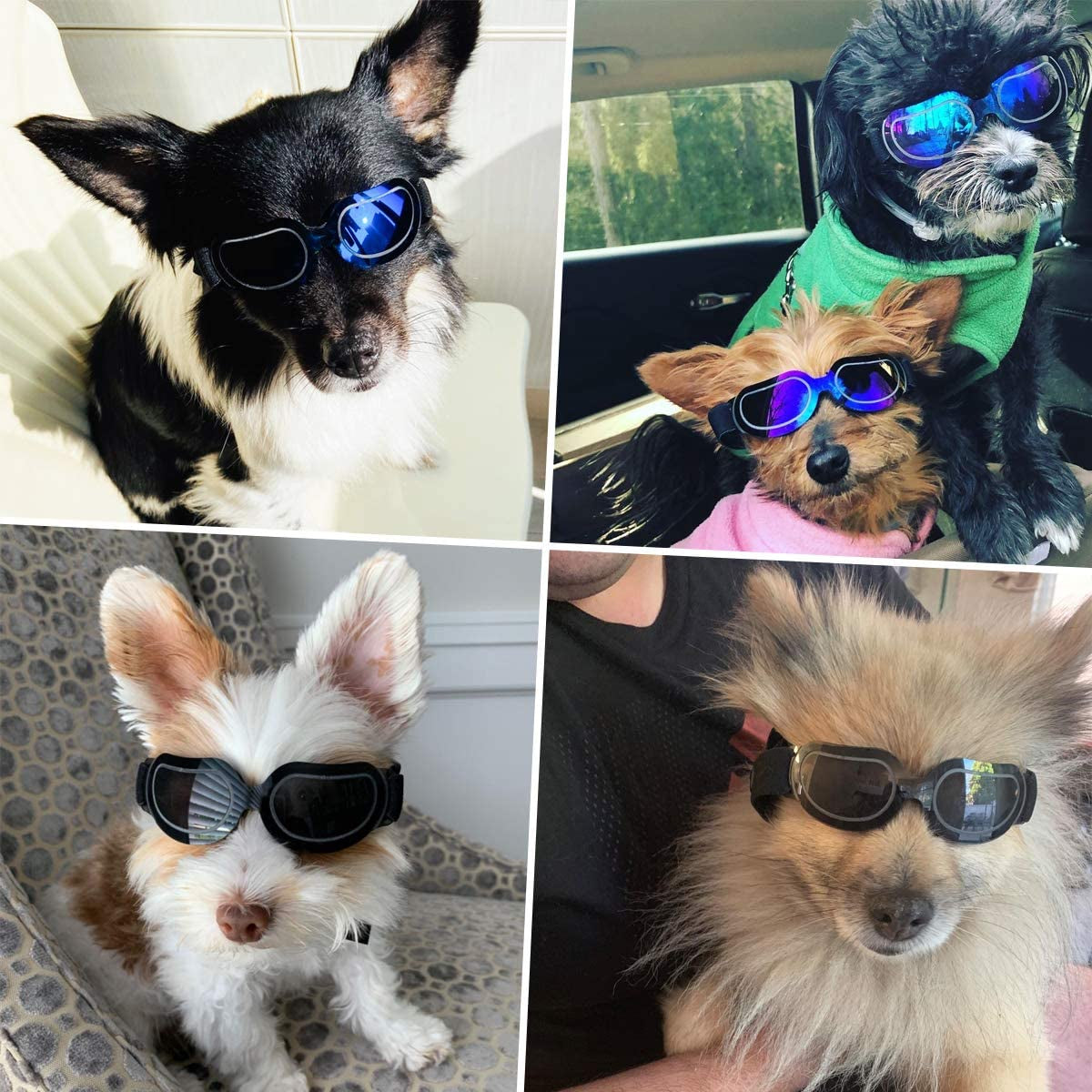 NAMSAN Small Dog Sunglasses UV Protection Adjustable Doggy Goggles Easy Wear Windproof Motorcycle Puppy Glasses (Bright Blue) Animals & Pet Supplies > Pet Supplies > Dog Supplies > Dog Apparel Namsan   