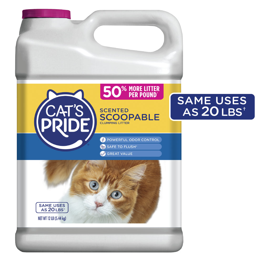 Cats Pride Scoopable Scented Lightweight Clumping Cat Litter, 12 Lb Jug Animals & Pet Supplies > Pet Supplies > Cat Supplies > Cat Litter Oil-Dri Corporation of America   