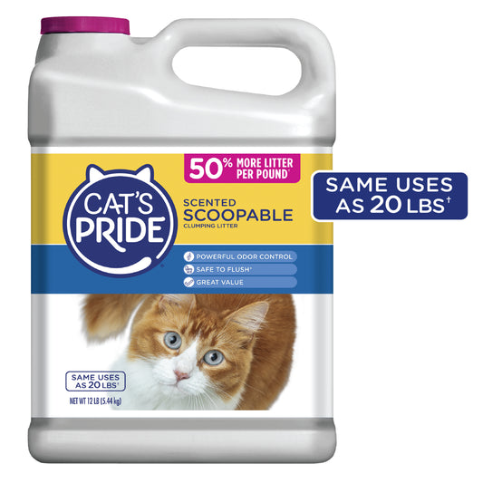 Cats Pride Scoopable Scented Lightweight Clumping Cat Litter, 12 Lb Jug Animals & Pet Supplies > Pet Supplies > Cat Supplies > Cat Litter Oil-Dri Corporation of America   