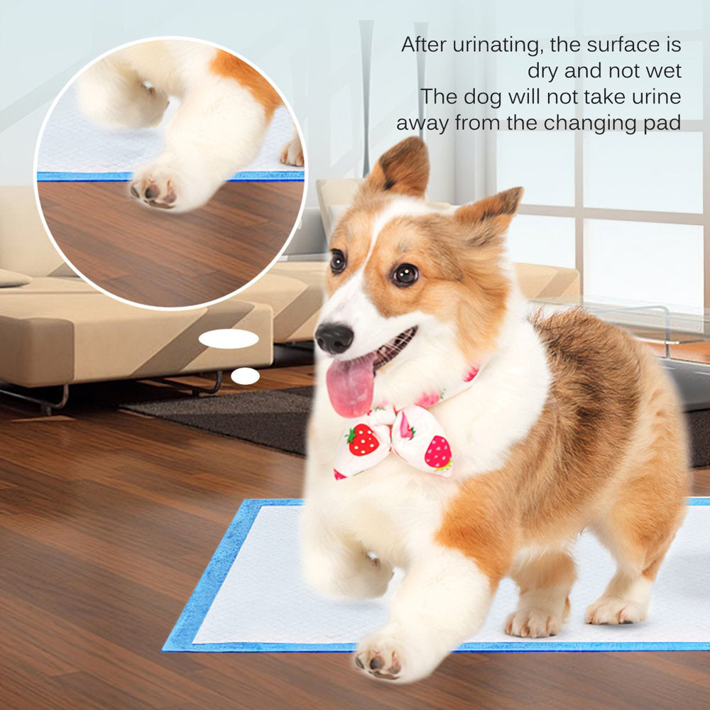 Pet Potty Training Pads for Dogs Puppy Pads Pee Pads, Quick Absorb, 24" X 24",100 Count Animals & Pet Supplies > Pet Supplies > Dog Supplies > Dog Diaper Pads & Liners ViiTech   