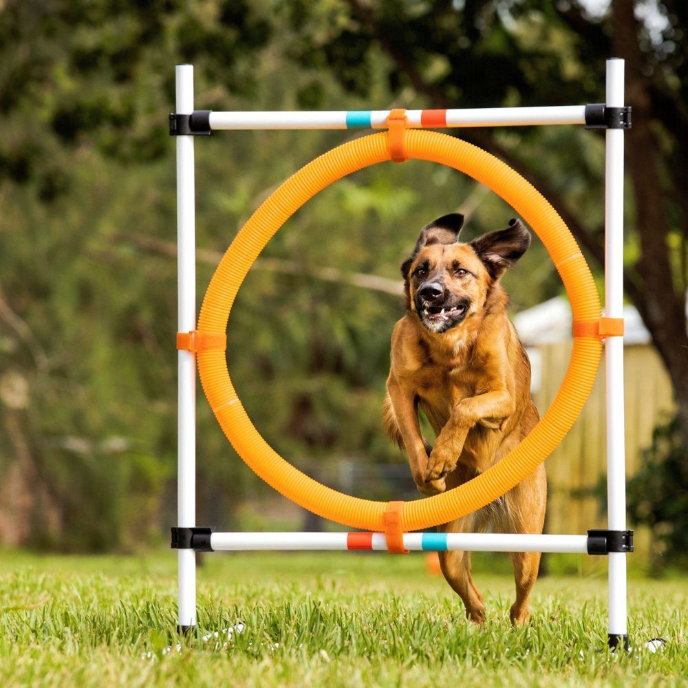 Midlee Dog Agility Hoop Jump Animals & Pet Supplies > Pet Supplies > Dog Supplies > Dog Treadmills Midlee   