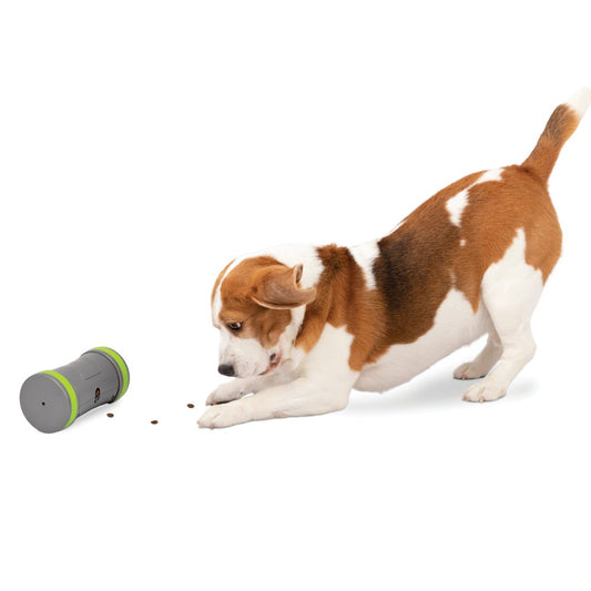 Petsafe Kibble Chase Interactive Dog Toy, Slow Feeder, Electronic Treat Dispenser Animals & Pet Supplies > Pet Supplies > Dog Supplies > Dog Toys Radio Systems Corporation   