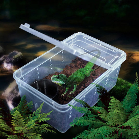 Jdafst Transparent Plastic Amphibian Insect Reptile Breeding Box Transport Feeding Case