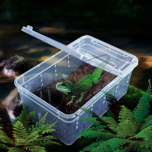 Flm Transparent Plastic Amphibian Insect Reptile Breeding Box Transport Feeding Case Animals & Pet Supplies > Pet Supplies > Reptile & Amphibian Supplies > Reptile & Amphibian Food Flm   