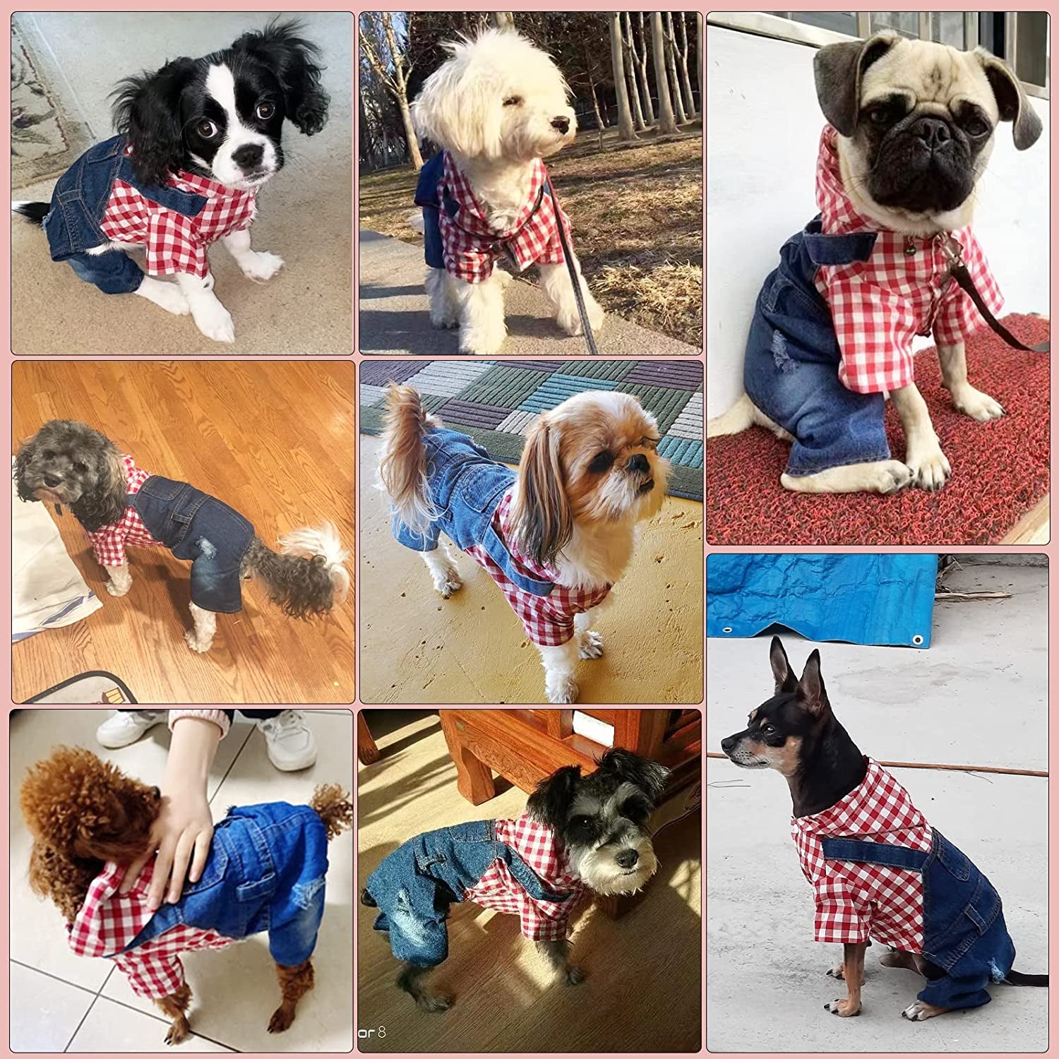 PETCARE Pet Dog Denim Jumpsuit Plaid Hoodies Puppy Overalls Doggy Jeans Jacket Clothes for Small Dogs Cats Chihuahua Yorkie Spring Summer Costume Outfit Animals & Pet Supplies > Pet Supplies > Dog Supplies > Dog Apparel Yi Wu Shi Jia Chong Dian Zi Shang Wu Shang Hang   