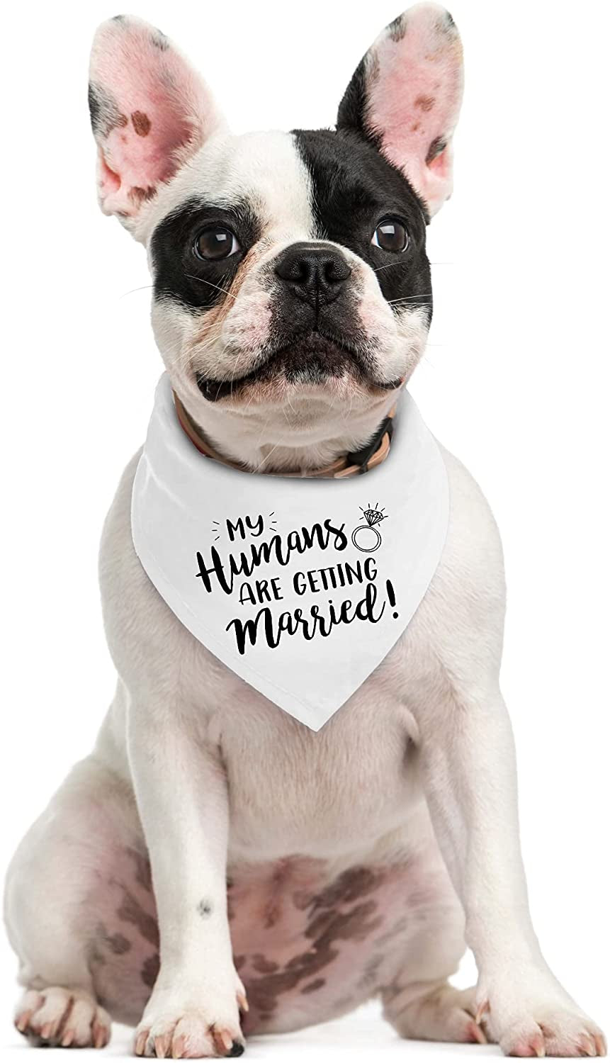 My Humans Are Getting Married Dog Bandana, Wedding Dog Bandana, Dog Engagement Announcement, Wedding Photo Prop, Pet Scarf, Pet Accessories Animals & Pet Supplies > Pet Supplies > Dog Supplies > Dog Apparel Moonwake Designs Co   