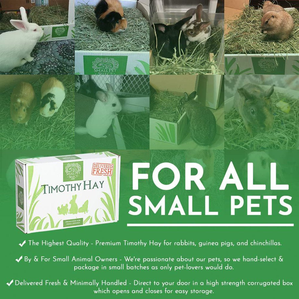 Small Pet Select 2Nd Cutting &Quot;Perfect Blend&Quot; Timothy Hay Pet Food 2 Lb. Animals & Pet Supplies > Pet Supplies > Small Animal Supplies > Small Animal Food Small Pet Select Inc.   
