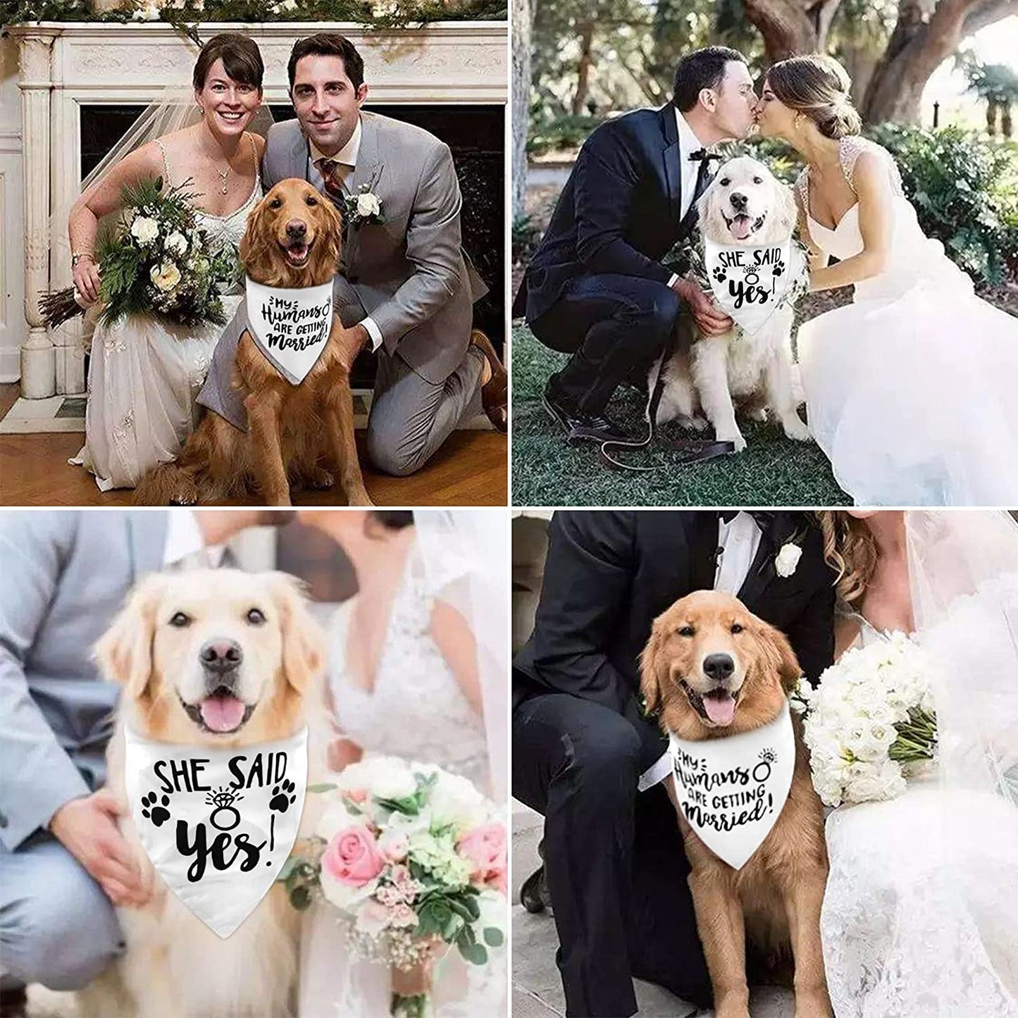 2PCS White My Humans Are Getting Married She Said Yes Dog Wedding Engagement Bandana, LMSHOWOWO Dog Bandana Wedding Engagement Announcement Gifts Pet Scarf Accessories for Dog Lovers, Bridal Shower Animals & Pet Supplies > Pet Supplies > Dog Supplies > Dog Apparel LMSHOWOWO   