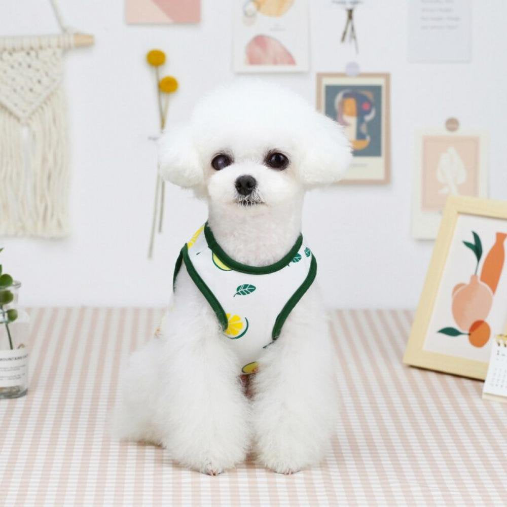 Popvcly 4 Pieces Dog T-Shirt Pet Vest Summer Breathable Pet Apparel Colorful Puppy Sweatshirt Dog Clothes for Small Medium Dogs C S Animals & Pet Supplies > Pet Supplies > Dog Supplies > Dog Apparel 719724024   