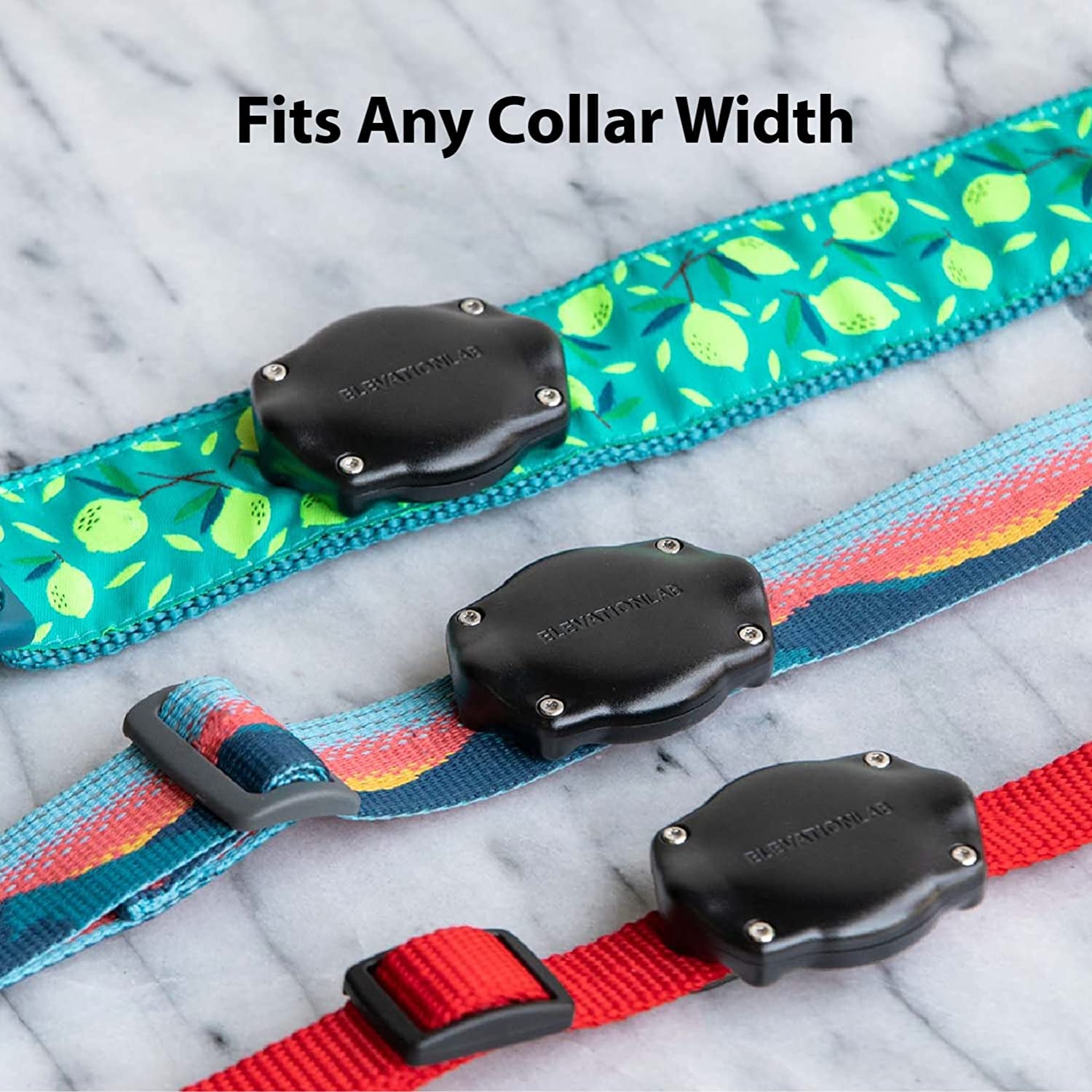 Tagvault Pet: the Waterproof Collar Mount for Apple Airtag, Ultra-Durable, Fits All Width Collars