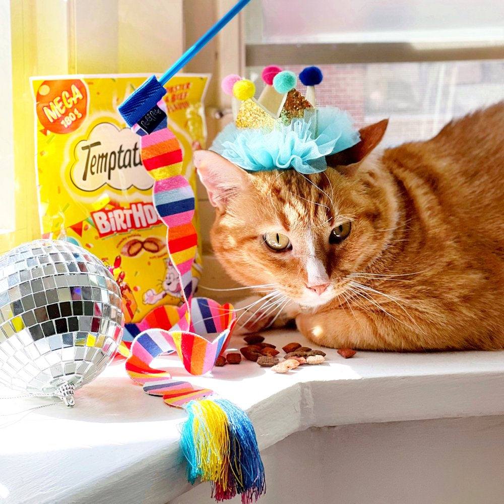 Packed Party Cat Birthday Box with Cat Treats, Toy & Accessory Animals & Pet Supplies > Pet Supplies > Cat Supplies > Cat Toys Packed Party   