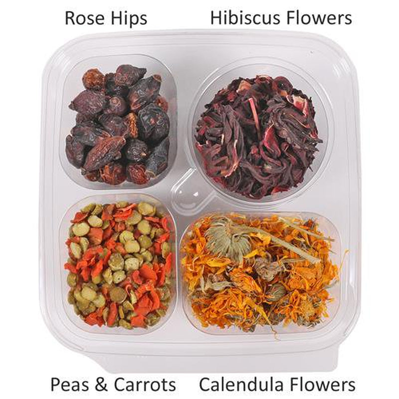Exotic Nutrition Herbivore Treat Variety Pack