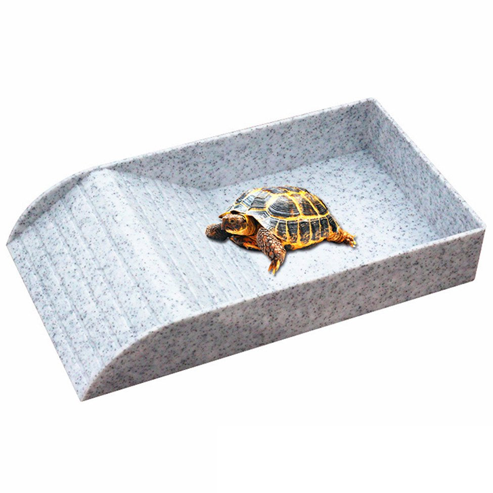 Reptile Turtle Feeding Dish with Ramp for Lizards Amphibians Housing B Animals & Pet Supplies > Pet Supplies > Reptile & Amphibian Supplies > Reptile & Amphibian Food Liveday B  