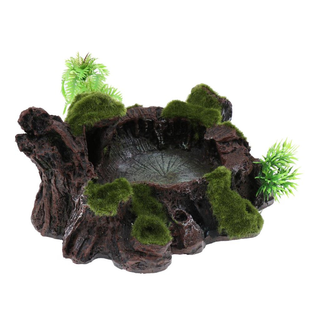 Plant Decor Resin Amphibians and Reptile Feeding Water Drinking Food Dish Tray Pet Tortoise Gecko Spider Animals & Pet Supplies > Pet Supplies > Reptile & Amphibian Supplies > Reptile & Amphibian Food Generic   