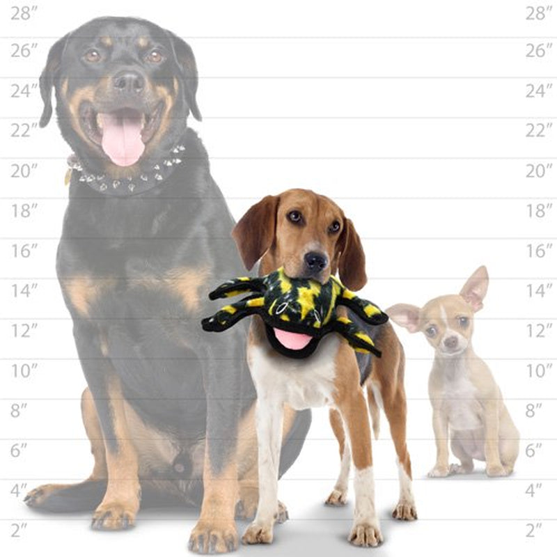 Tuffy Desert Phrog, Durable Dog Toy Animals & Pet Supplies > Pet Supplies > Dog Supplies > Dog Toys VIP Products   