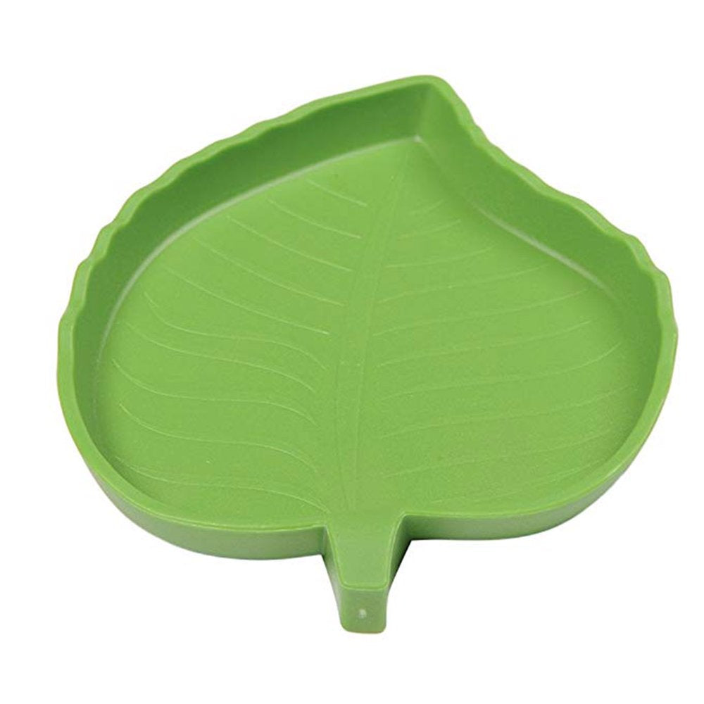 Amphibians Reptiles Feeder Plastic Reptile Terrarium Feeding Basin Tortoise Crawler Bowl Basin Water Fountain for Turtles Green 1.2*9.5*12Cm Animals & Pet Supplies > Pet Supplies > Reptile & Amphibian Supplies > Reptile & Amphibian Food Robot-GxG 1.5*12.4*15.4cm Green 