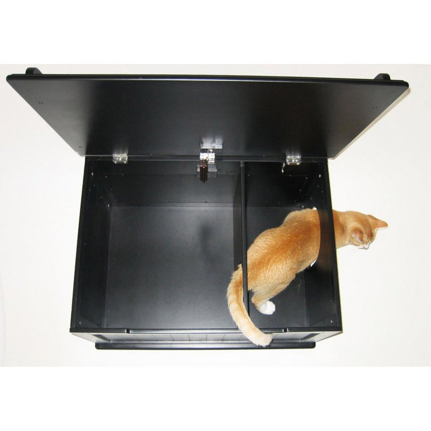 Designer Catbox Litter Box Enclosure Animals & Pet Supplies > Pet Supplies > Cat Supplies > Cat Furniture Designer Catbox LLC   