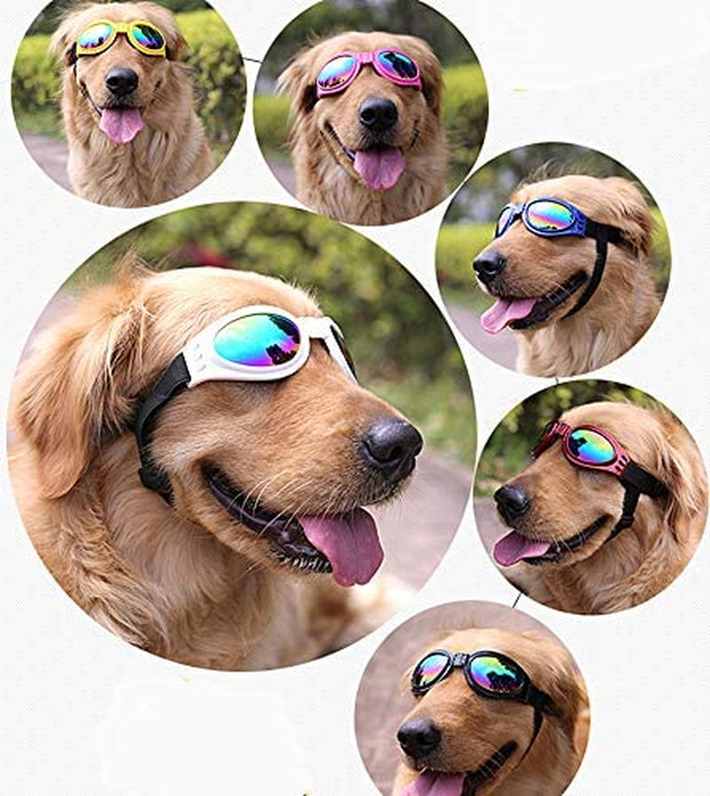 DPLUS Dog Goggles Dog Sunglasses - Glasses Set of 6 - for Dogs Dog Ski Goggles with UV Protection Pet Sunglasses with Adjustable Strap for Travel, Skiing and Anti-Fog Animals & Pet Supplies > Pet Supplies > Dog Supplies > Dog Apparel Dplus   