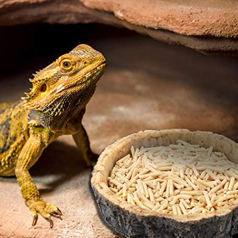 Calpalmy 2 Pack Reptile Food Bowls - Reptile Water and Food Bowls, Novelty Food Bowl for Lizards, Young Bearded Dragons, Small Snakes and More - Made from Non-Toxic, Bpa-Free Plastic
