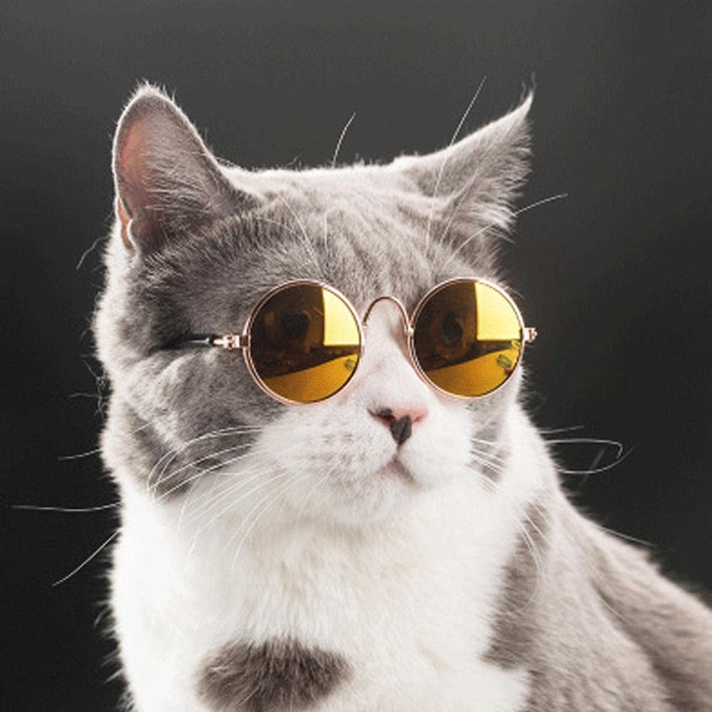 Small Pet Sunglasses Dog Cat Pet Lovely Vintage round Reflection Eye Wear Glasses Dog Cat Cosplay Party Costume Classic Funny Pet Accessories for Pet Animals & Pet Supplies > Pet Supplies > Dog Supplies > Dog Apparel Generic   