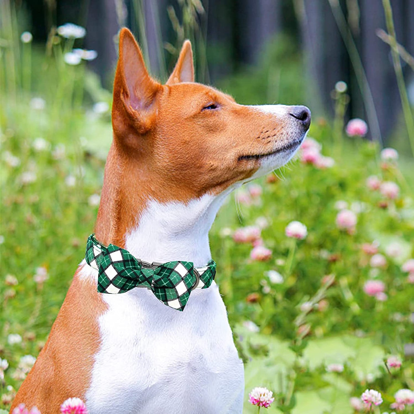 Elegant Little Tail St. Patrick'S Day Dog Collar, Dog Collar with Bow, Green Grid Dog Collar Pet Gift Dog Bowtie Adjustable Dog Collar for Medium Dogs Animals & Pet Supplies > Pet Supplies > Dog Supplies > Dog Apparel Elegant little tail   