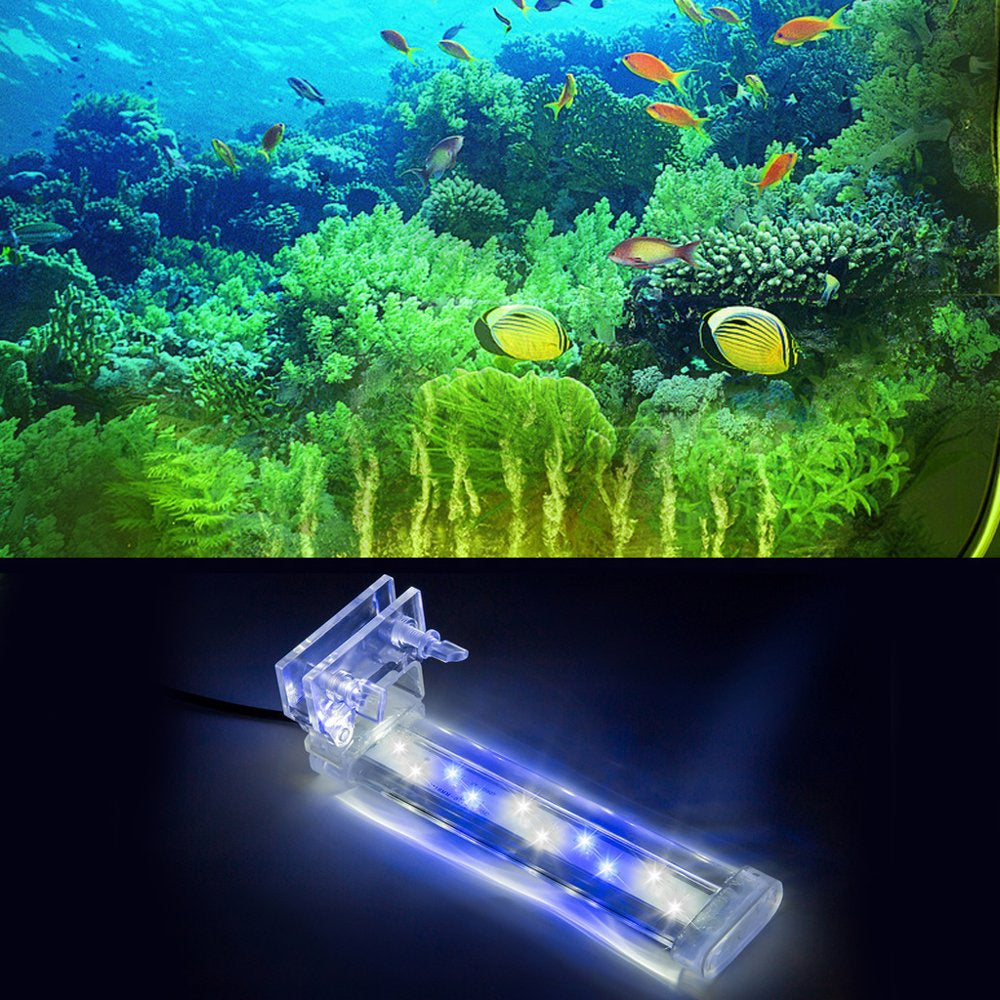 Fish Tank Clip on Light Clamp Aquarium Small Lights White & Blue LED Lighting 1.5W 3W 5W 8W Promoting Water Plant Growth Animals & Pet Supplies > Pet Supplies > Fish Supplies > Aquarium Lighting Bydezcon   