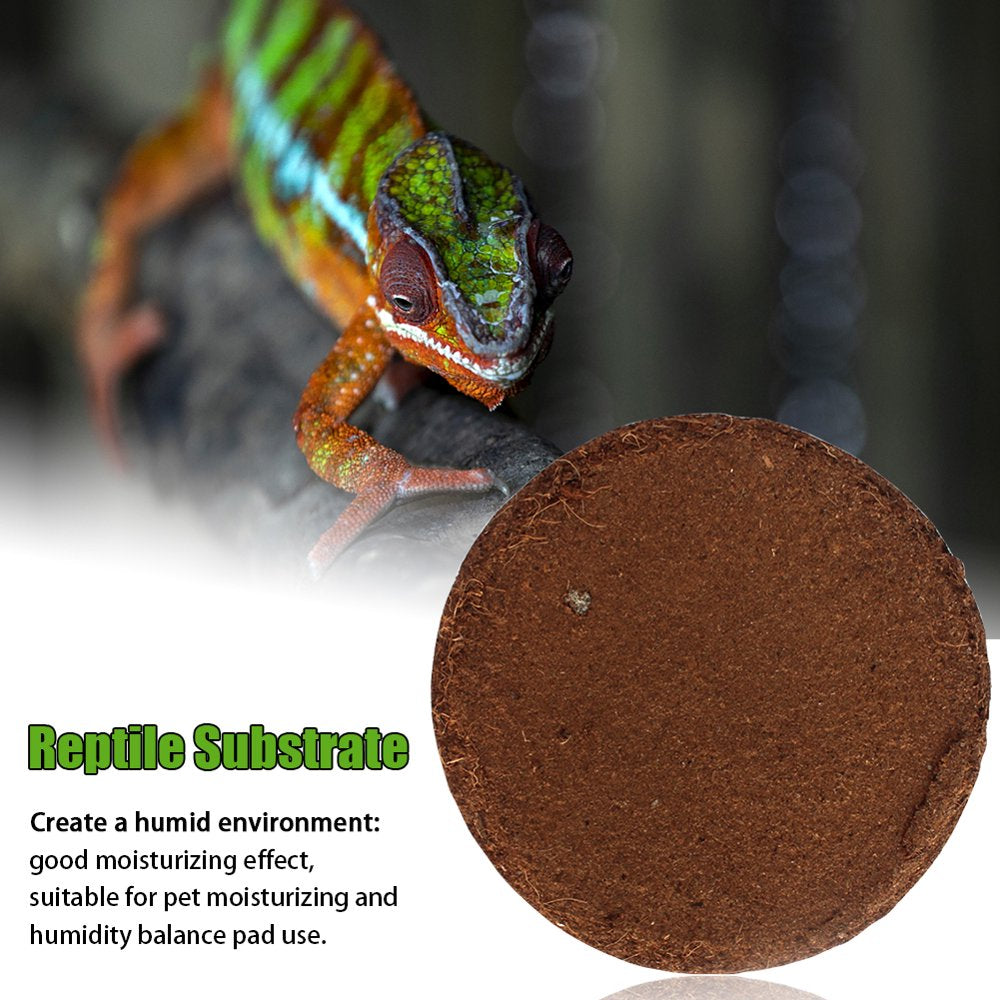 Reptile Substrate Coconut Fiber Soil Bricks Mat Turtle Lizard Bottom Supplies Animals & Pet Supplies > Pet Supplies > Reptile & Amphibian Supplies > Reptile & Amphibian Substrates Volpter   