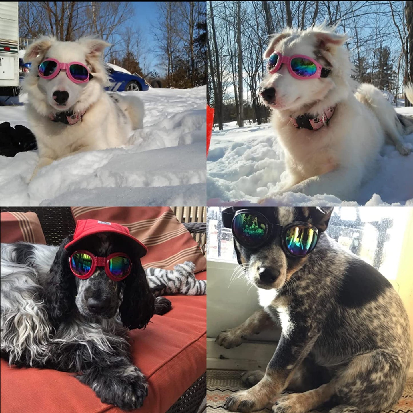 DPLUS Dog Goggles Dog Sunglasses - Glasses Set of 6 - for Dogs Dog Ski Goggles with UV Protection Pet Sunglasses with Adjustable Strap for Travel, Skiing and Anti-Fog Animals & Pet Supplies > Pet Supplies > Dog Supplies > Dog Apparel Dplus   