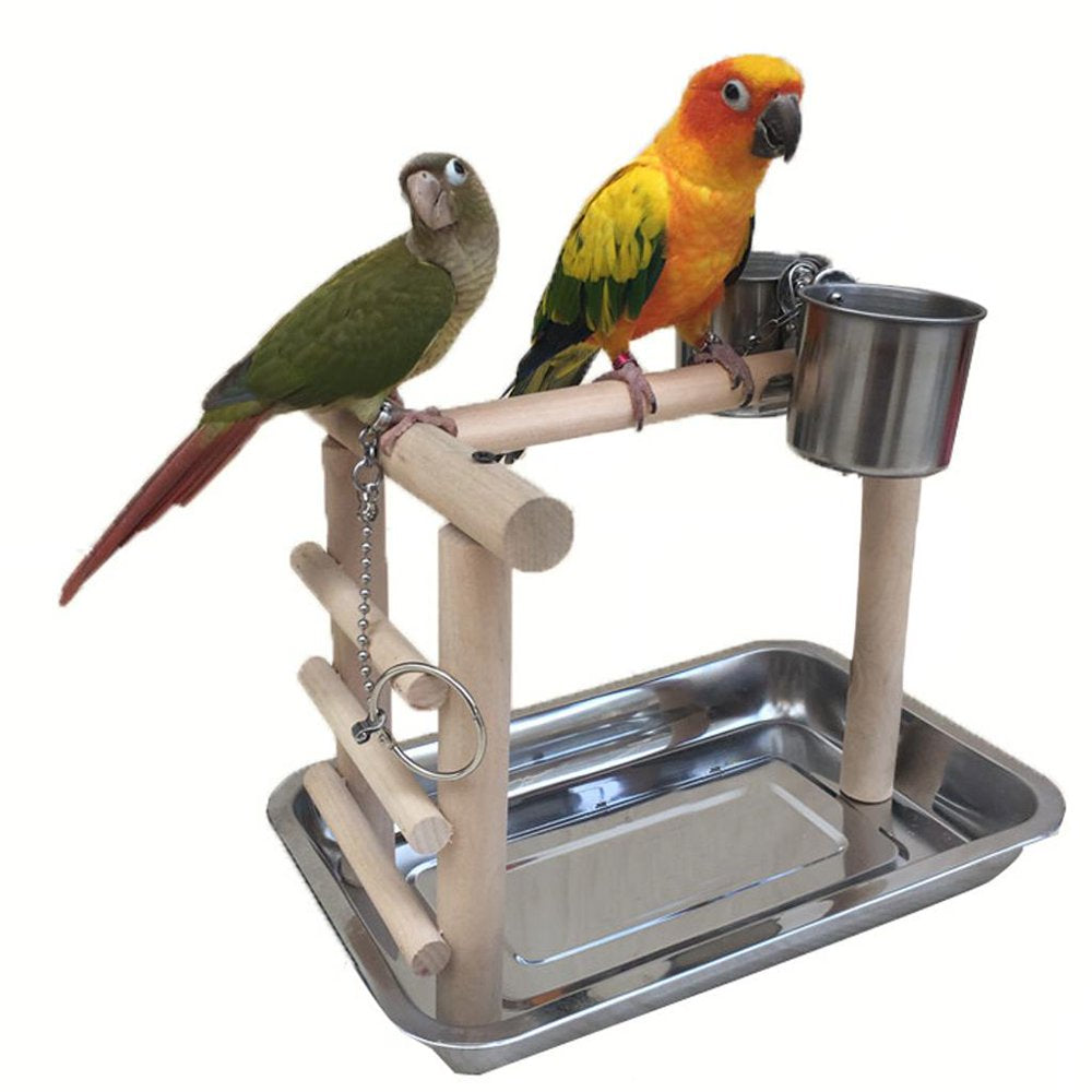 Pet Parrots Playstand Bird Playground Perch Gym Training Stand Bird Animals & Pet Supplies > Pet Supplies > Bird Supplies > Bird Gyms & Playstands HOMYL   