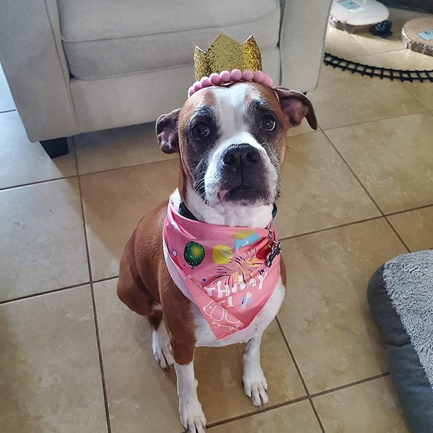 ADOGGYGO Dog Birthday Bandana Hat Set Dog Puppy Birthday Party Supply Dog Bandana Boy Girl Puppy Birthday Hat Scarf for Small Medium Dog Pet (Pink Scarf & Crown) Animals & Pet Supplies > Pet Supplies > Dog Supplies > Dog Apparel ADOGGYGO   