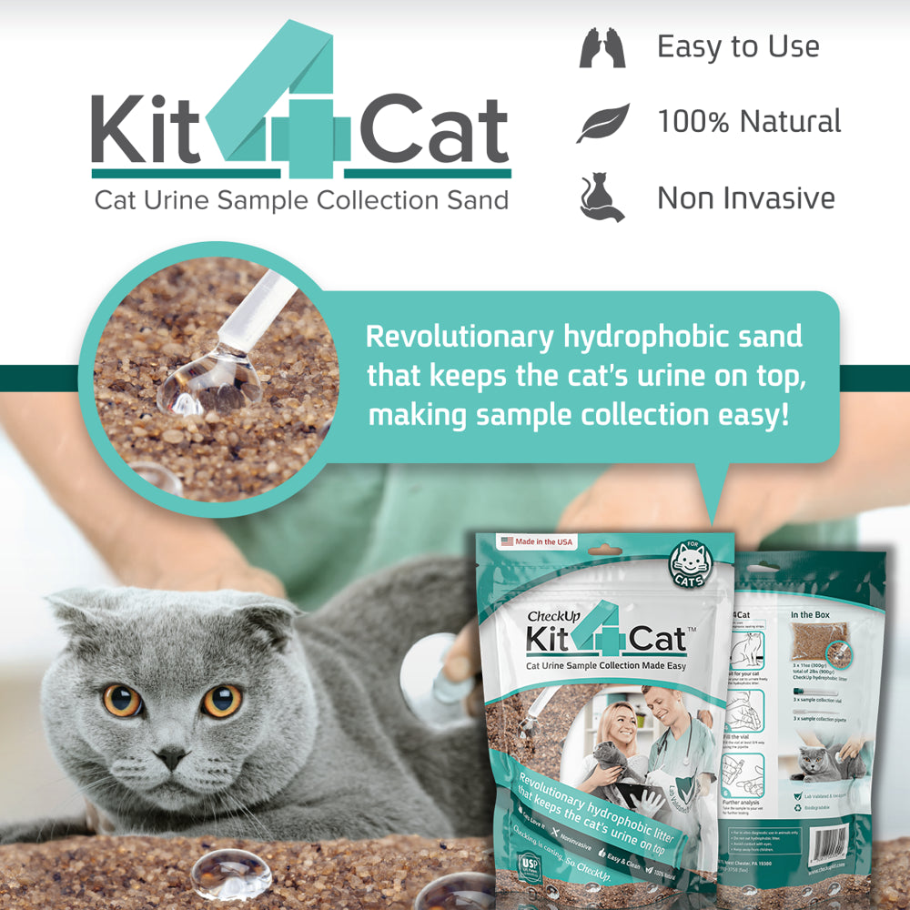 Checkup Kit4Cat 2Lb Hydrophobic Litter Sand Cat Urine Sample Collection Kit