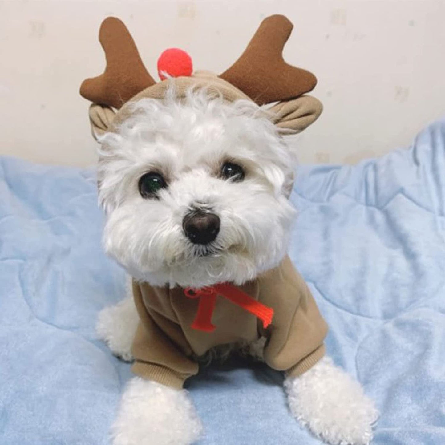 YAODHAOD Dog Hoodie, Dog Basic Sweater Coat Cute Elk Warm Pet Cold Weather Sweaters Clothes Winter Dog Costume Sweatshirt Coat Chihuahua (Elk, Small) Animals & Pet Supplies > Pet Supplies > Dog Supplies > Dog Apparel YAODHAOD   