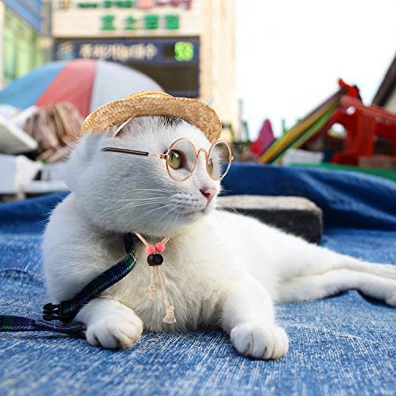 6 Pieces Pet Dog Cat Costume, Pet Sunglasses and Summer Pet Straw Hat with Faux Gold Chain Collar, Classic Funny Pet Accessories for Pet Cat Puppy Small Medium Dog Birthday Cosplay Party (Cute Style) Animals & Pet Supplies > Pet Supplies > Dog Supplies > Dog Apparel Weewooday   