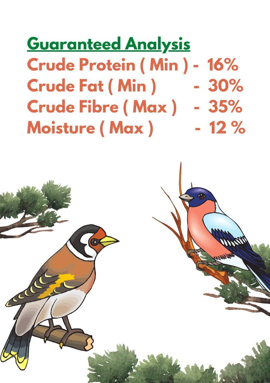 Premium Sterilized Natural Black Thistle Seed,Wild Bird Feed 5LB Animals & Pet Supplies > Pet Supplies > Bird Supplies > Bird Food ASA Agrotech Private Limited   