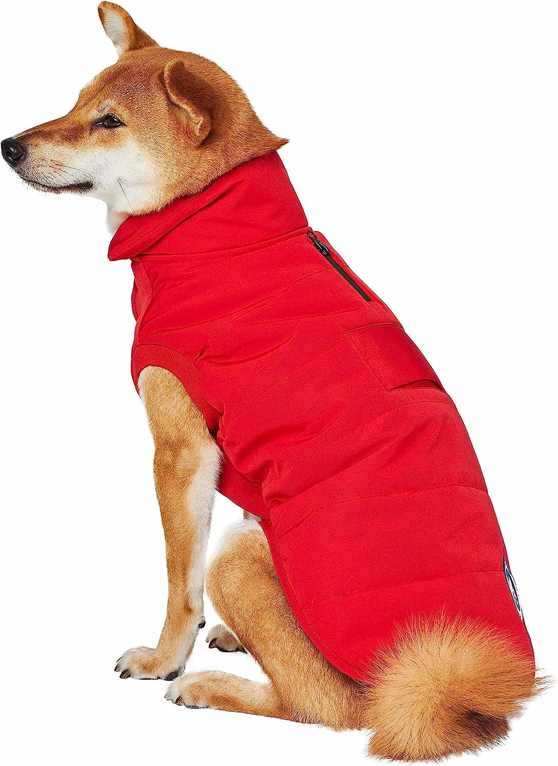 Blueberry Pet Cozy & Comfy Windproof Waterproof Quilted Fall Winter Dog Puffer Jacket in True Red, Back Length 20", Size 18", Warm Coat for Large Dogs Animals & Pet Supplies > Pet Supplies > Dog Supplies > Dog Apparel Blueberry Pet   