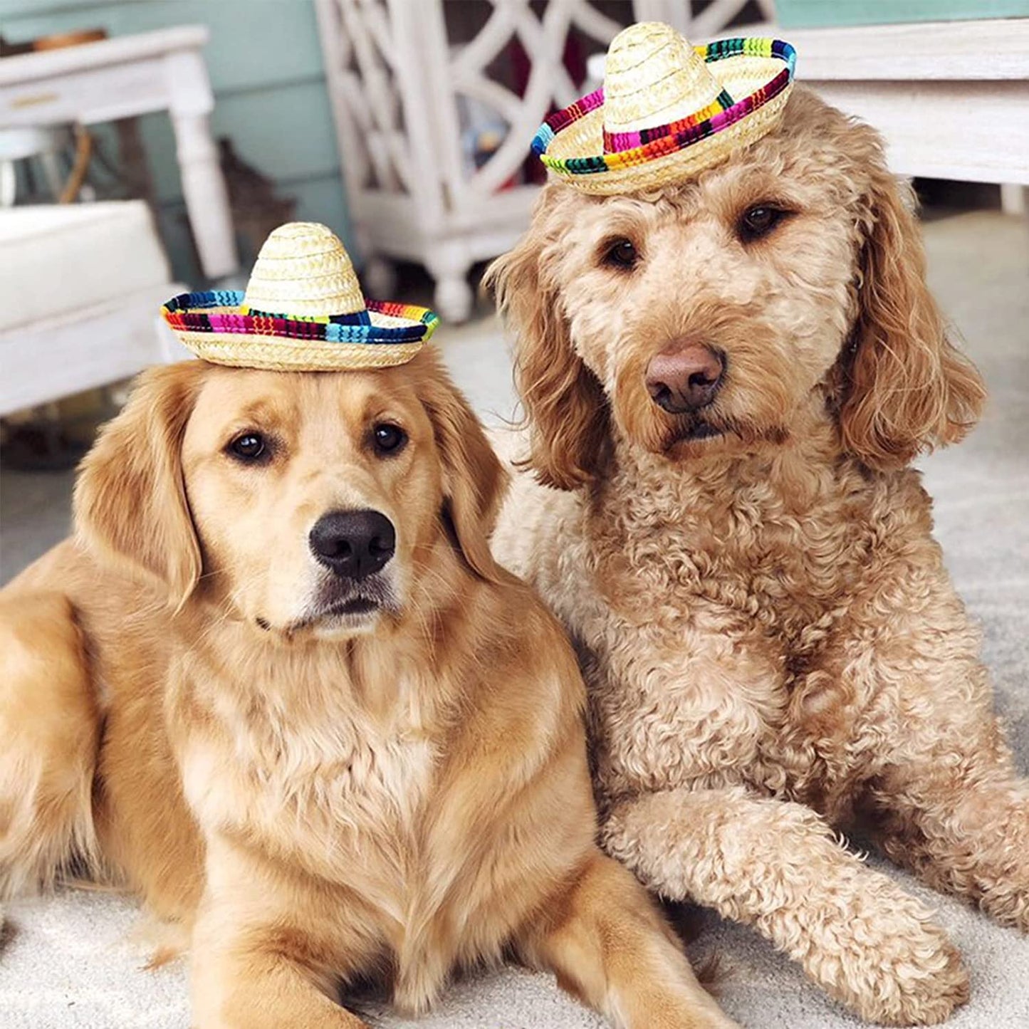 Dog Hat, Mini Sombrero Mexican Hats, Classic Retro Pet Sunglasses and Adjustable Pet Chain, Pet Photo Suit, Pet Supplies for Small Dog and Cat(Straw Hat) Animals & Pet Supplies > Pet Supplies > Dog Supplies > Dog Apparel FT HITA   