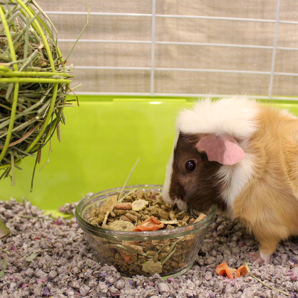 Menu Premium Guinea Pig Food - Timothy Hay Pellets Blend - Vitamin and Mineral Fortified, 8 Lbs. Animals & Pet Supplies > Pet Supplies > Small Animal Supplies > Small Animal Food Vitakraft Sunseed Inc.   