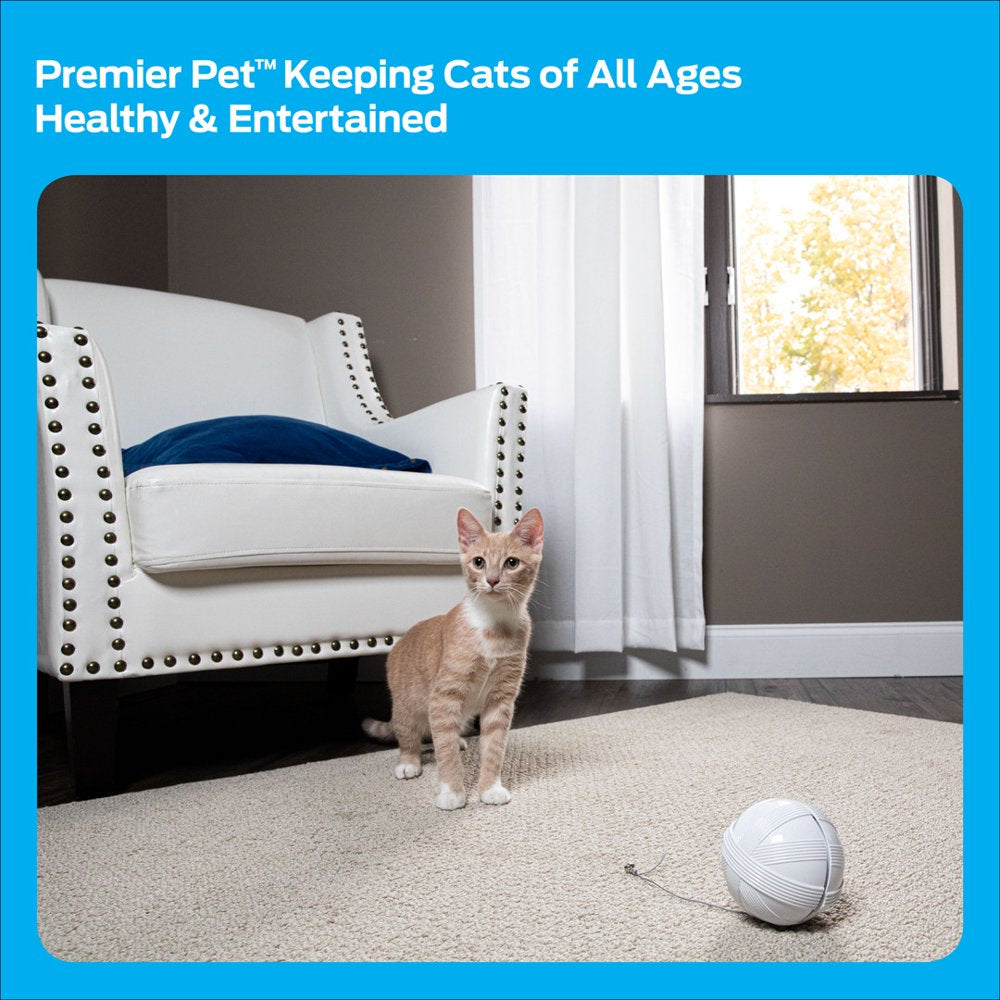 Premier Pet Zip Automatic Laser Cat Toy - Interactive Toy with Laser Moves in Random Directions Providing Long-Lasting, Hands-Free Play, Chase and Exercise - Battery Operated Animals & Pet Supplies > Pet Supplies > Cat Supplies > Cat Toys Radio Systems Corporation   