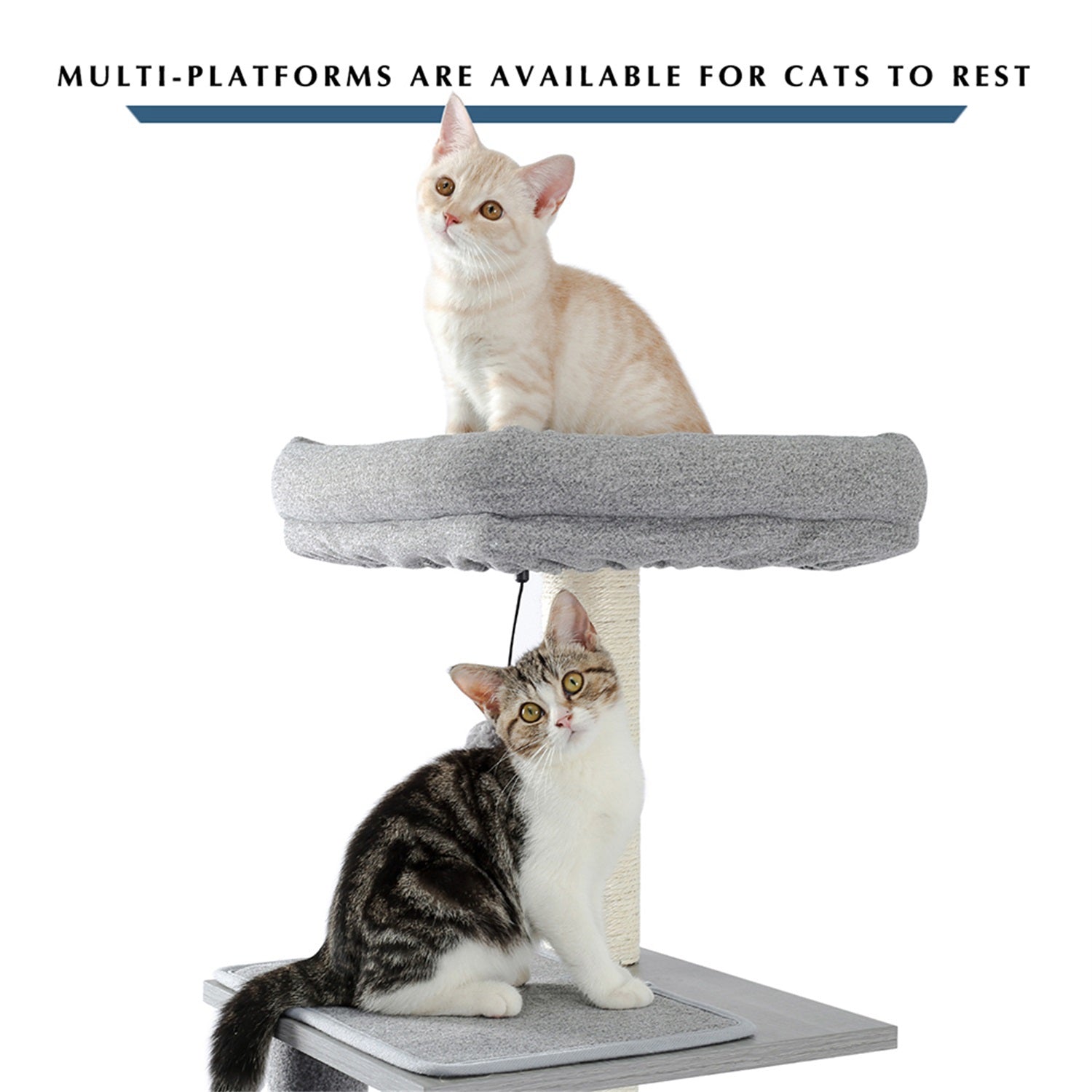 Pefilos Cat Tree for Indoor Cats Modern Grey Cat Tower, Multi-Level Tall Large Wood Condo for Indoor Cats, Cat Condo for Multiple Cats Furniture Cat Tree Tower for Outdoor Animals & Pet Supplies > Pet Supplies > Cat Supplies > Cat Furniture Pefilos   