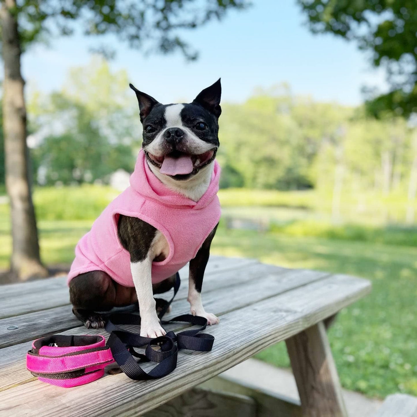 Gooby Fleece Vest Hoodie Dog Sweater - Pink, Medium - Warm Pullover Dog Hoodie with O-Ring Leash - Winter Hooded Small Dog Sweater - Dog Clothes for Small Dogs Boy or Girl, and Medium Dogs Animals & Pet Supplies > Pet Supplies > Dog Supplies > Dog Apparel Inafiction USA, Inc. dba Gooby Pet Fashion   