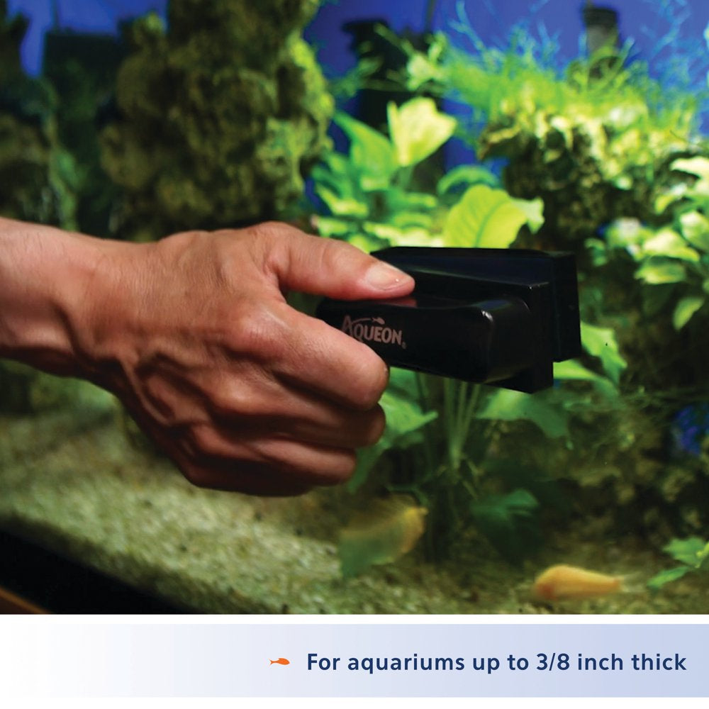 Aqueon Aquarium Algae Cleaning Magnets Glass/Acrylic Medium