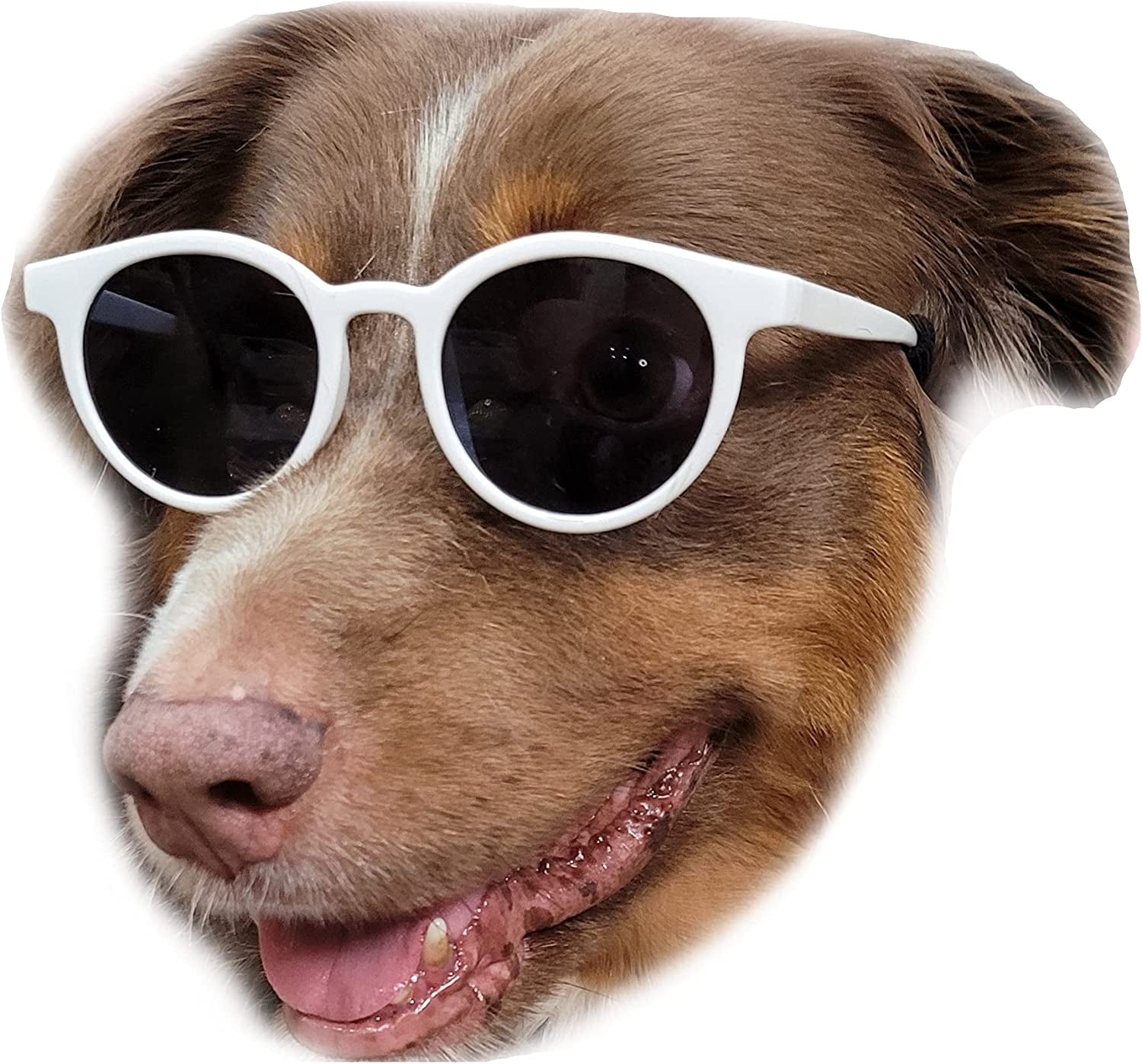 G018 Dog Pet Costume Prop Panto Sunglasses Medium Large Breeds 25-55Lbs (White) Animals & Pet Supplies > Pet Supplies > Dog Supplies > Dog Apparel Style Vault   