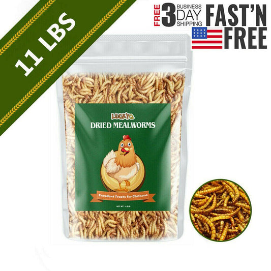 LUCKYQ Dried Mealworms 11Lb,High-Protein Bulk Mealworms for Birds, Chickens, Turtles, Fish, Hamsters, and Hedgehogs, Non-Gmo and Chemical Free, All Natural Animal Feed